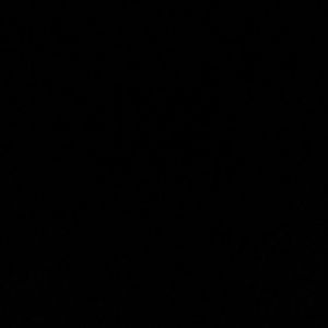 Meet your Posher, Irina